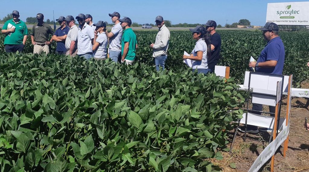 Fitoestimulantes y fertilizantes, dos insumos claves para el manejo de los suelos
