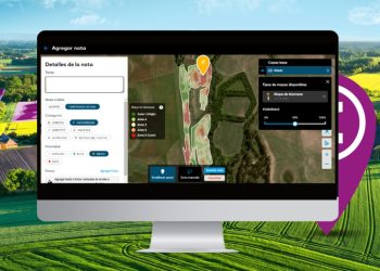 Cómo las plataformas digitales ayudan en momentos de crisis