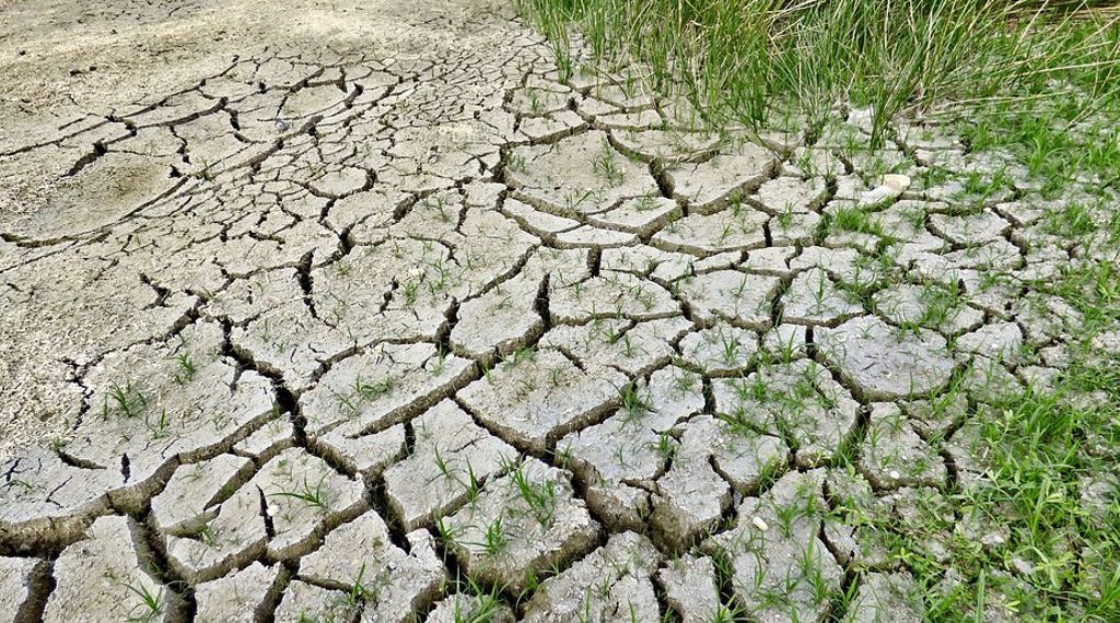 Se perderían US$ 14.000 millones en exportaciones por el impacto de la sequía en el campo
