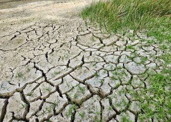 Se perderían US$ 14.000 millones en exportaciones por el impacto de la sequía en el campo