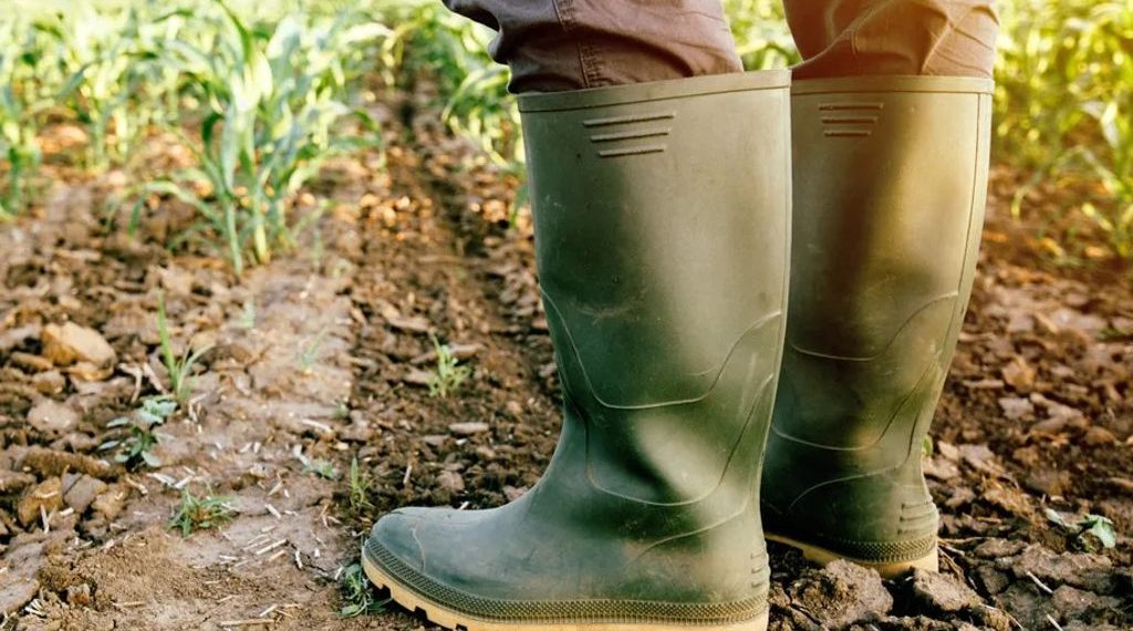 El fin de La Niña: qué pasará con el clima y cuáles son los urgencias para el campo en los próximos meses