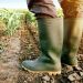 El fin de La Niña: qué pasará con el clima y cuáles son los urgencias para el campo en los próximos meses