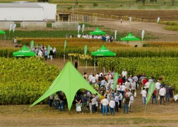 JORNADA A CAMPO NUSEED: EL GIRASOL COMO PROTAGONISTA Y UN PORTOFOLIO COMPLETO DE ALTERNATIVAS PARA NUTRICIÓN ANIMAL