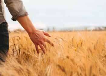 Tecnología en fertilización para un comienzo auspicioso de la fina