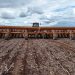 Una firma que se expande a base de manejo y tecnología