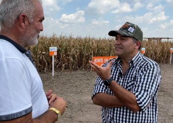 Ing. Alvaro Moreno – Gerente de Marketing de KWS