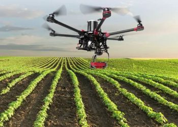 Los drones ganan espacio en agricultura