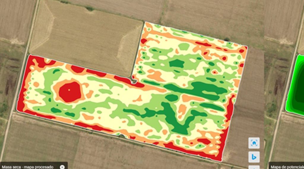 FIELD MANAGER: el asistente  clave para el manejo de malezas en barbecho