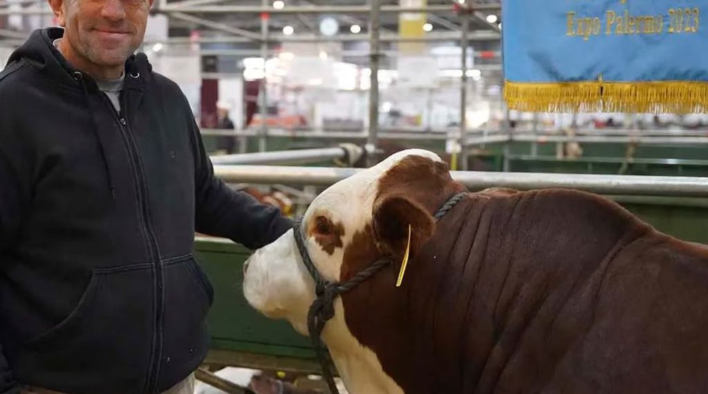 Participó por primera vez en la Expo Rural de Palermo y se llevó 2 importantes premios