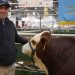 Participó por primera vez en la Expo Rural de Palermo y se llevó 2 importantes premios