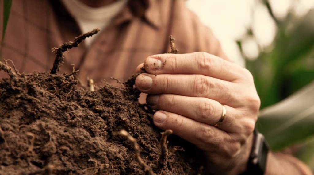 Bayer presenta su enfoque en Sustentabilidad y Huella de Carbono en el Congreso de Aapresid 2023
