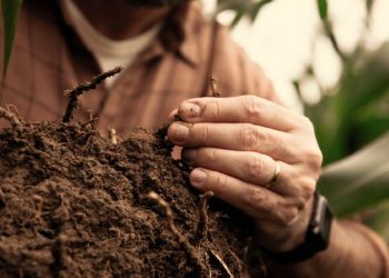 Bayer presenta su enfoque en Sustentabilidad y Huella de Carbono en el Congreso de Aapresid 2023
