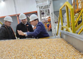KWS Argentina recibió a uno de los máximos directivos de la compañía en su planta de Manuel Ocampo