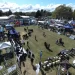 Olavarría se prepara para recibir la 44° Exposición Nacional Angus de primavera