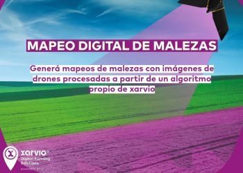xarvio Revoluciona la Agricultura con el Mapeo Digital de Malezas mediante Drones