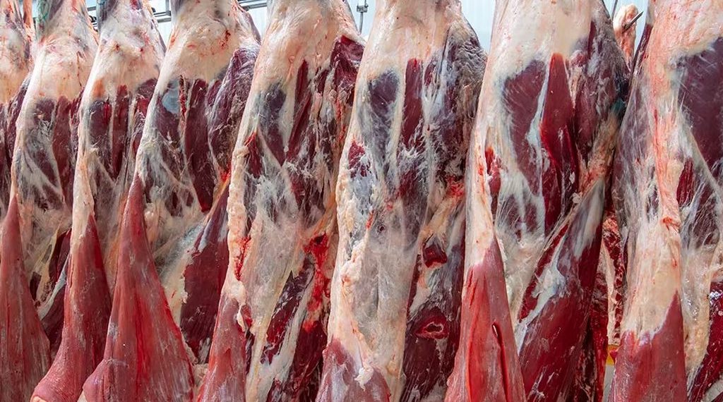 La industria frigorífica argentina alertó sobre una marcada tendencia hacia la faena de hembras