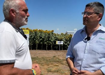 Programa Nº 1168