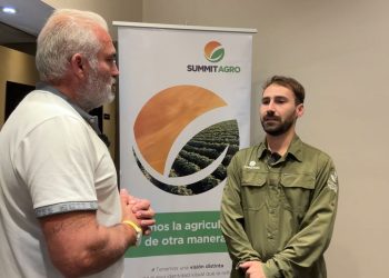Programa Nº 1164