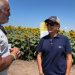Ing. Marisa Della Maddalena – Programa Mejoramiento de Girasol de ACA