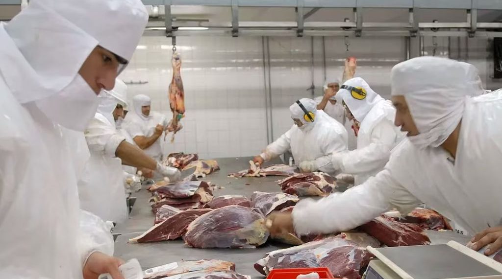 Autorizan la exportación de carne bovina y ovina con hueso kosher desde Argentina a Israel