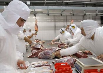 Autorizan la exportación de carne bovina y ovina con hueso kosher desde Argentina a Israel