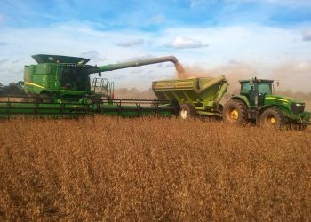 Proyectan pérdidas de US$ 4.700 a US$ 6.500 millones en maíz y soja, por la sequía y la baja de precios