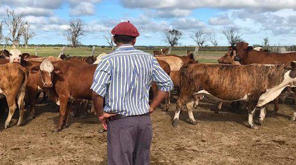 Confirman un aumento del 12% en los sueldos de los trabajadores rurales