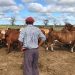 Confirman un aumento del 12% en los sueldos de los trabajadores rurales