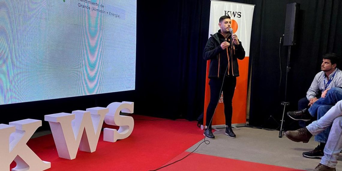 Spiroplasma: KWS confirmó el camino de desarrollo después de una década de trabajo