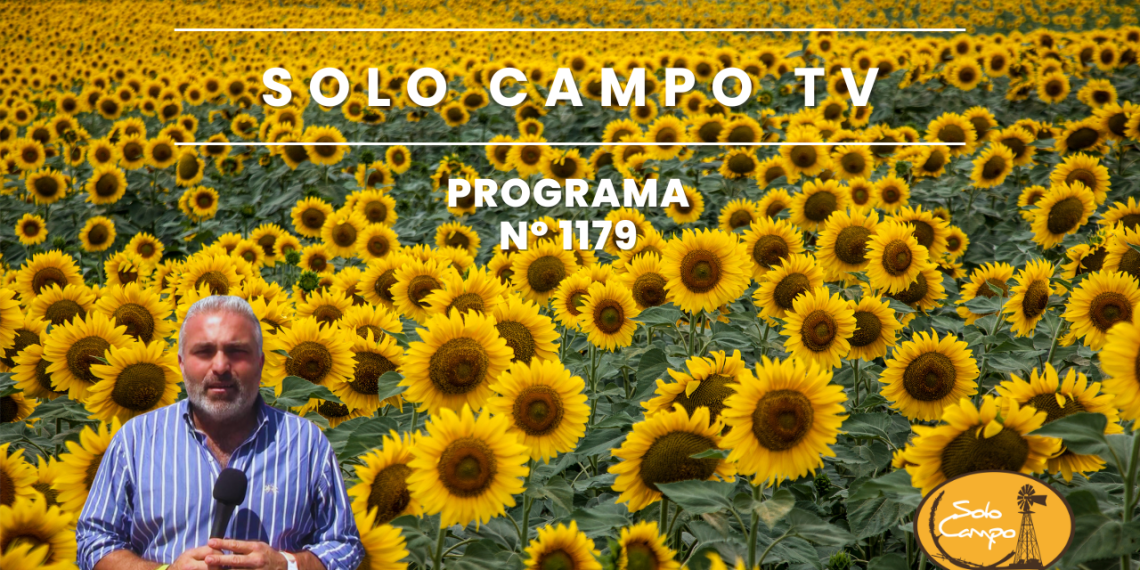 Solo Campo TV Programa Nº1179 – Mayo 2024