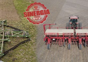 Descubrí la Sinergia Giorgi en Agroactiva 2024