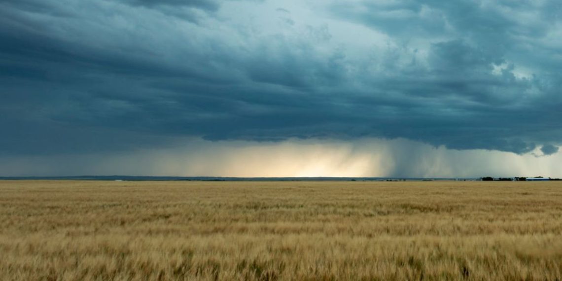 Las lluvias se concentrarán sobre el norte y centro-este de la región agrícola en el inicio del invierno