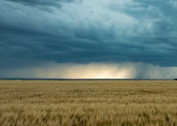 Las lluvias se concentrarán sobre el norte y centro-este de la región agrícola en el inicio del invierno