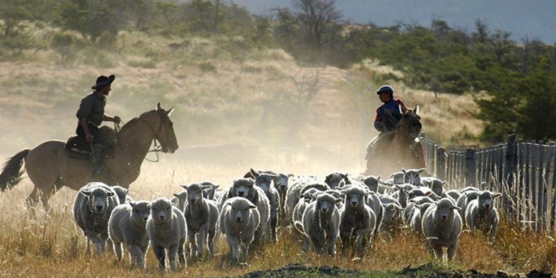 Aumentaron los salarios de los trabajadores rurales: 7% en mayo y 5% en junio
