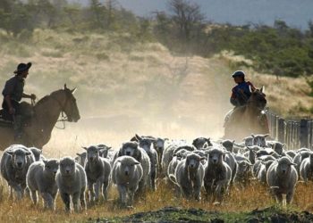 Aumentaron los salarios de los trabajadores rurales: 7% en mayo y 5% en junio