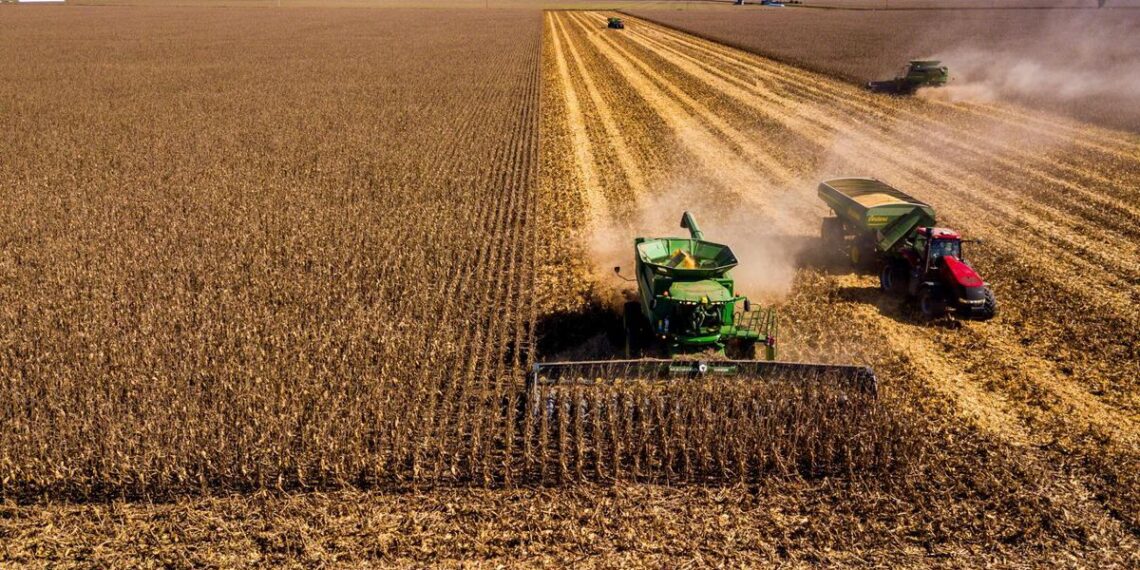 La agronomía del hoy y el maíz del futuro