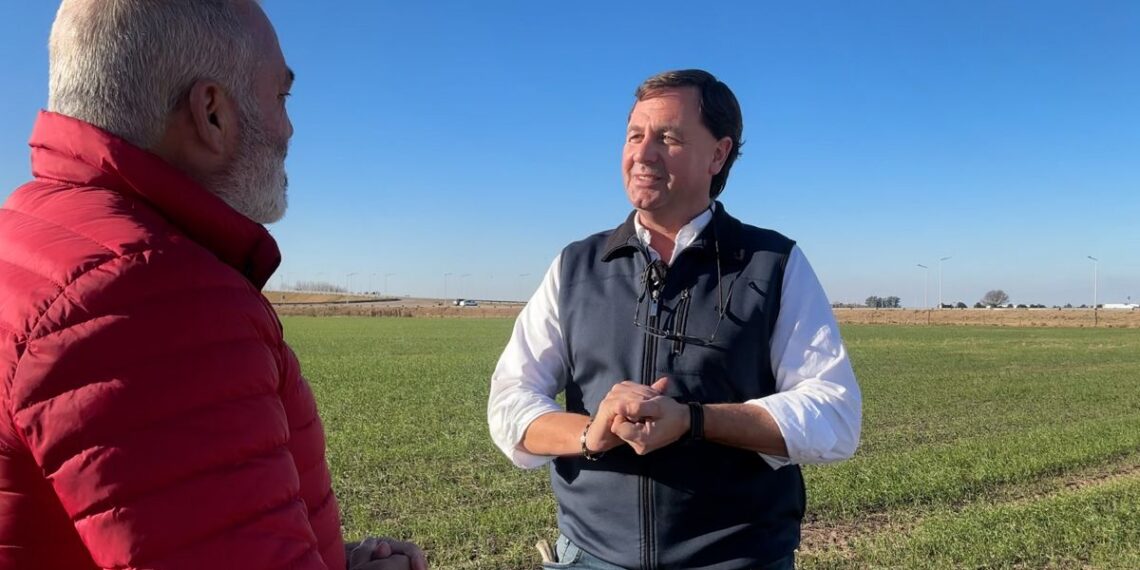 Estado del cultivo de trigo – Armstrong (Santa Fe)