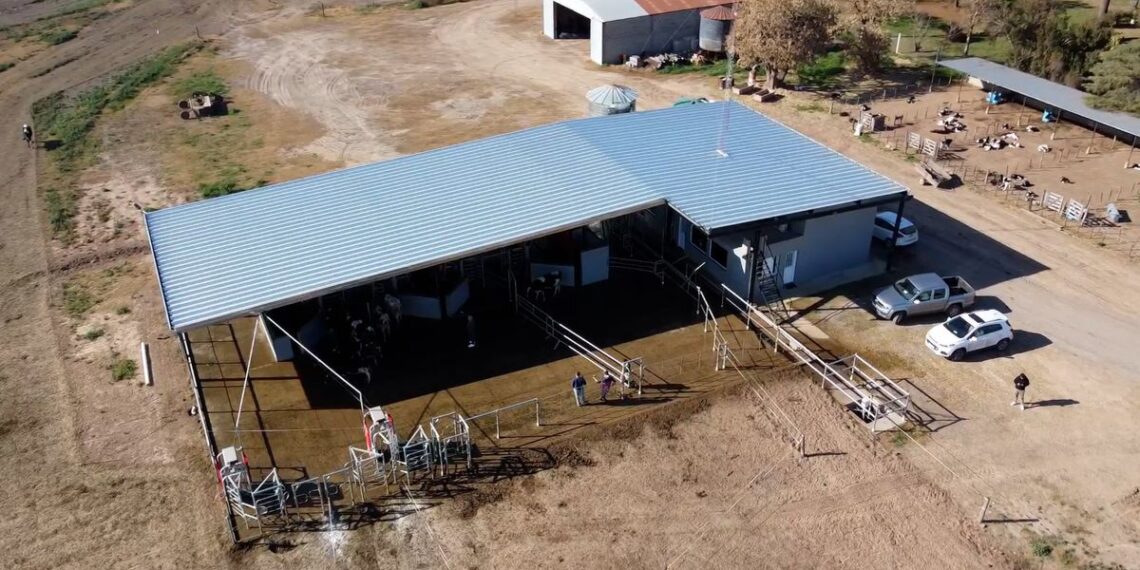 Visitamos el tambo robotizado de Agropecuaria Stiefel SA en Cañada Rosquín (Santa Fe)