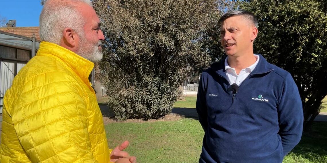 Jornada Técnica sobre sorgo y maíz de Advanta en Totoras (Santa Fe)