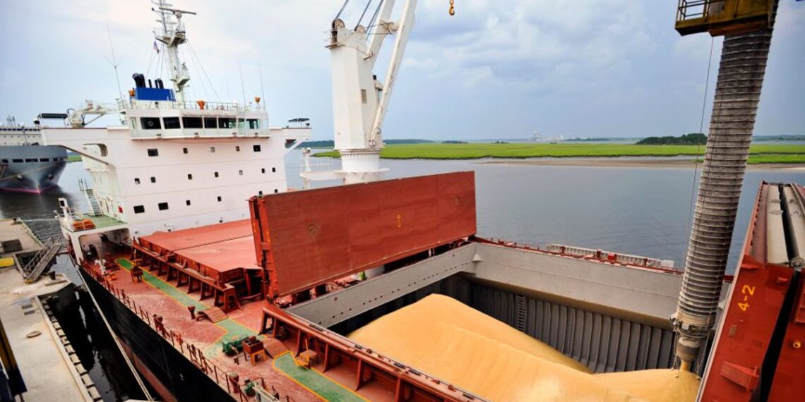 Con casi 14 millones de toneladas exportadas, Argentina volvió al primer lugar en el mercado de harina de soja