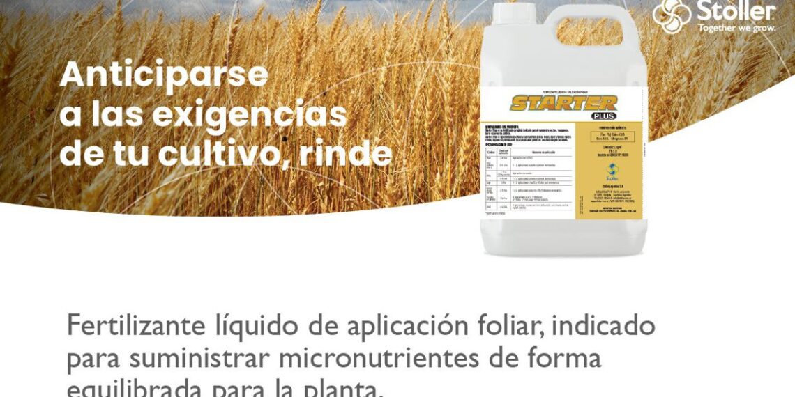 El zinc, un aliado imprescindible para recuperar tu cultivo de trigo luego de las lluvias