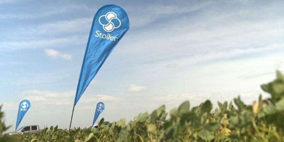 10,5% más de productividad con Soja Fuerte