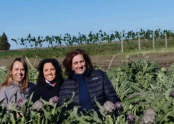 Aromas Rurales: Mujeres que cultivan tradición y futuro sostenible