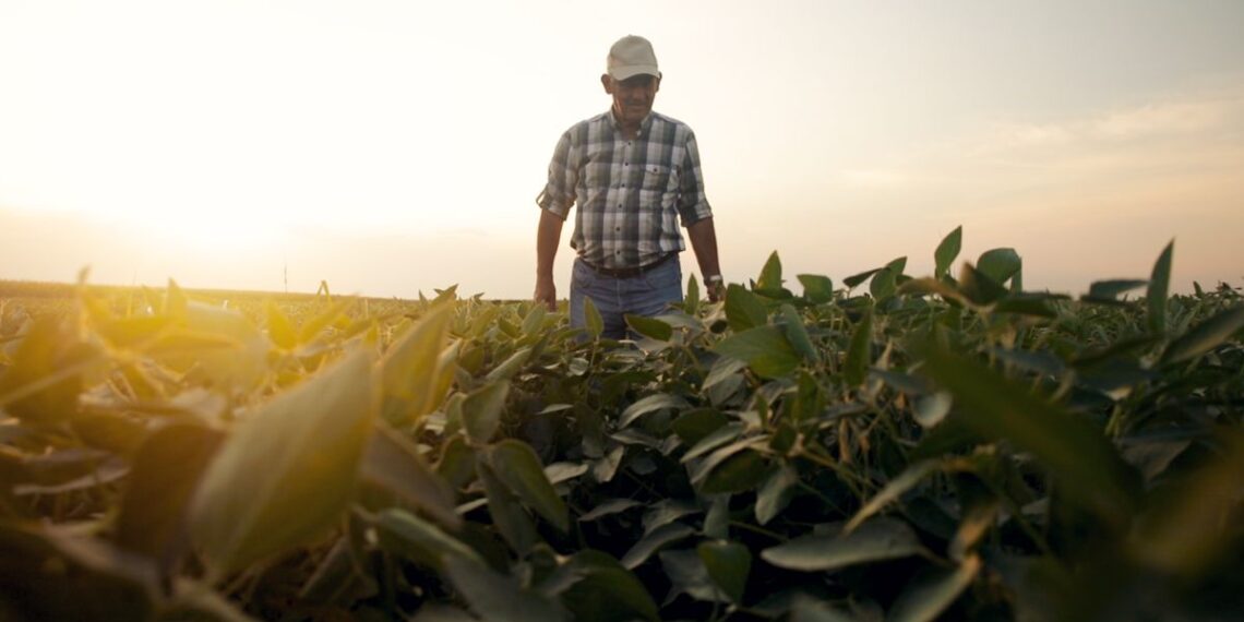 Campaña gruesa: con el cambio climático el productor busca protegerse en una compañía 100% confiable