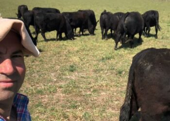 Productor del oeste bonaerense pide reducir retenciones: “Los números no cierran”