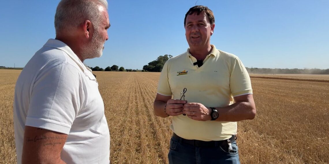 Ing. Claudio Del Vecchio – Agroprofesional Consultora Agropecuaria