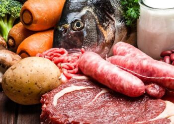 Argentina es el tercer exportador neto de alimentos a nivel mundial