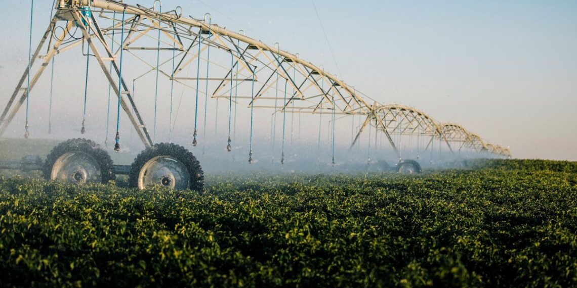 Riego: una tecnología clave para el desarrollo y empleo agropecuario que no logra despegar