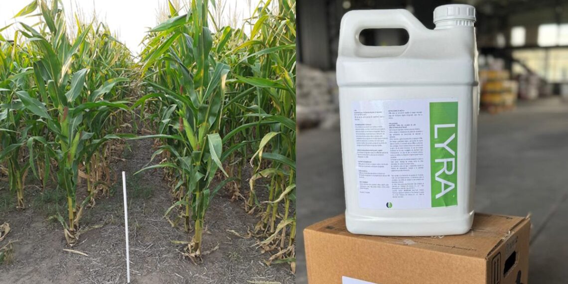 Verdesian lanza Lyra®: innovación en eficiencia y sostenibilidad para el agro