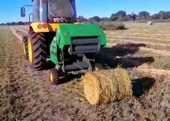 Mini rollos de alfalfa, una solución tecnológica para pequeños productores